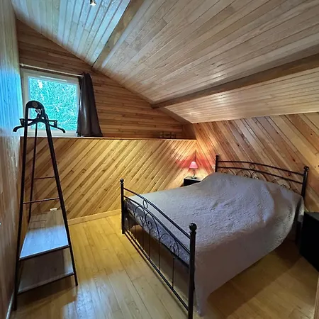 Le Petit Bois Vakantiehuis Saint-Vincent-de-Connezac